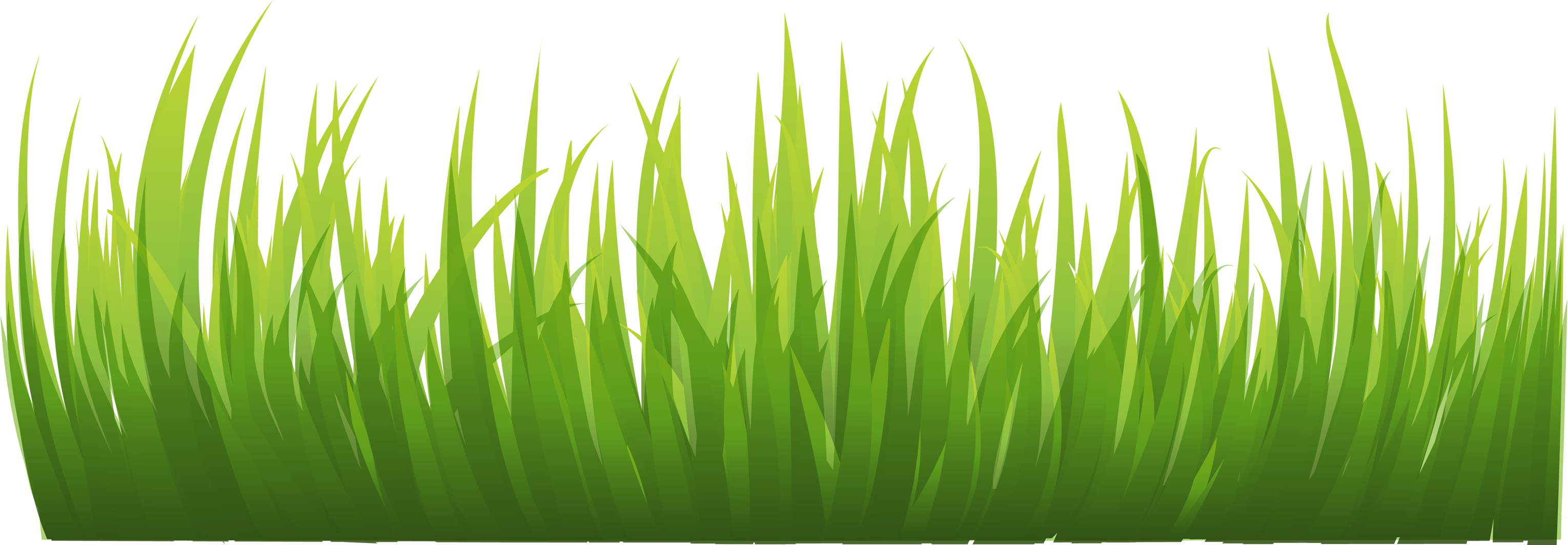 Green Grass Clipart - Green Grass Clipart Png (3059x1064)