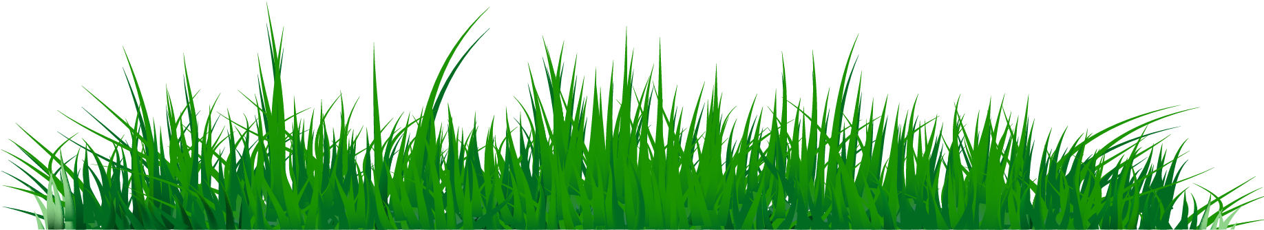 Grass Png Images - Grass Clipart Png (1852x498)
