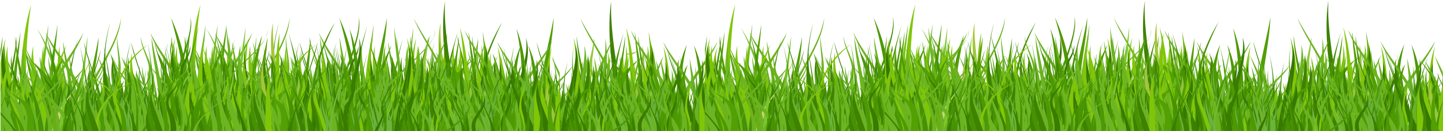 Grass Clipart No Background - Grass Bottom Green Png (2842x296)