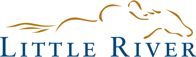 Little River Resort Village Of - Upstate Door Logo (672x208)