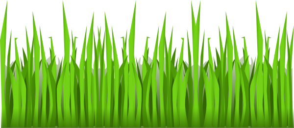 Grass Clipart Transparent - Cartoon Grass Transparent Background (600x263)