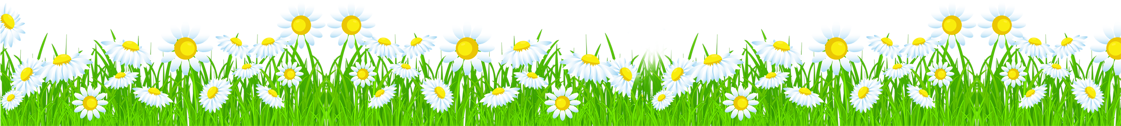 Grass Clipart - Png Flower Grass Clipart (2210x327)