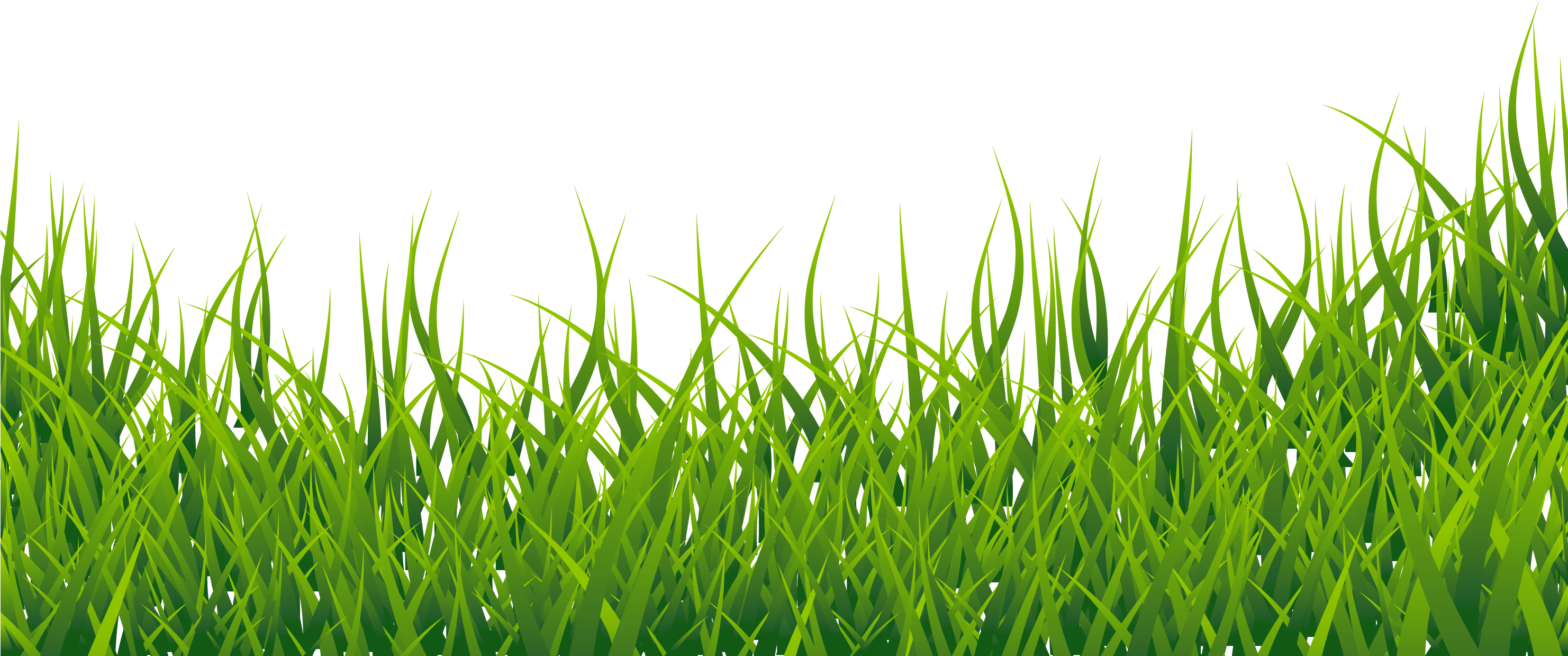Free Clip Art Grass Clipart Image - Grass Clipart Free (2962x1274)