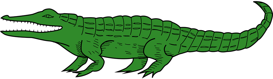 Cartoon Pictures Of Alligators 5, - Krokotiili Piirros (960x480)