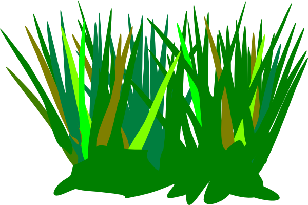 Green Wheat Grass Tuft Clip Art At Clkercom Vector - Cartoon Tuft Of Grass (600x399)