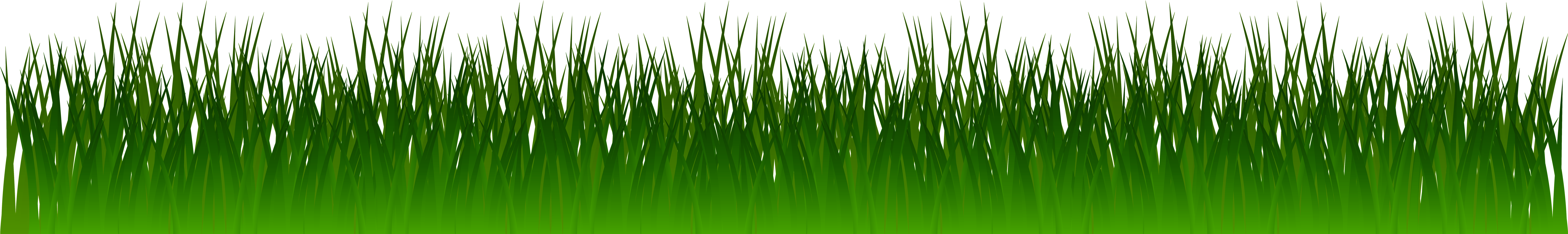 Dark Green Grass Clipart Free - Dark Green Grass Png (8000x1276)