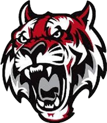 Fleetwood Tigers - Fleetwood High School Tiger (400x400)