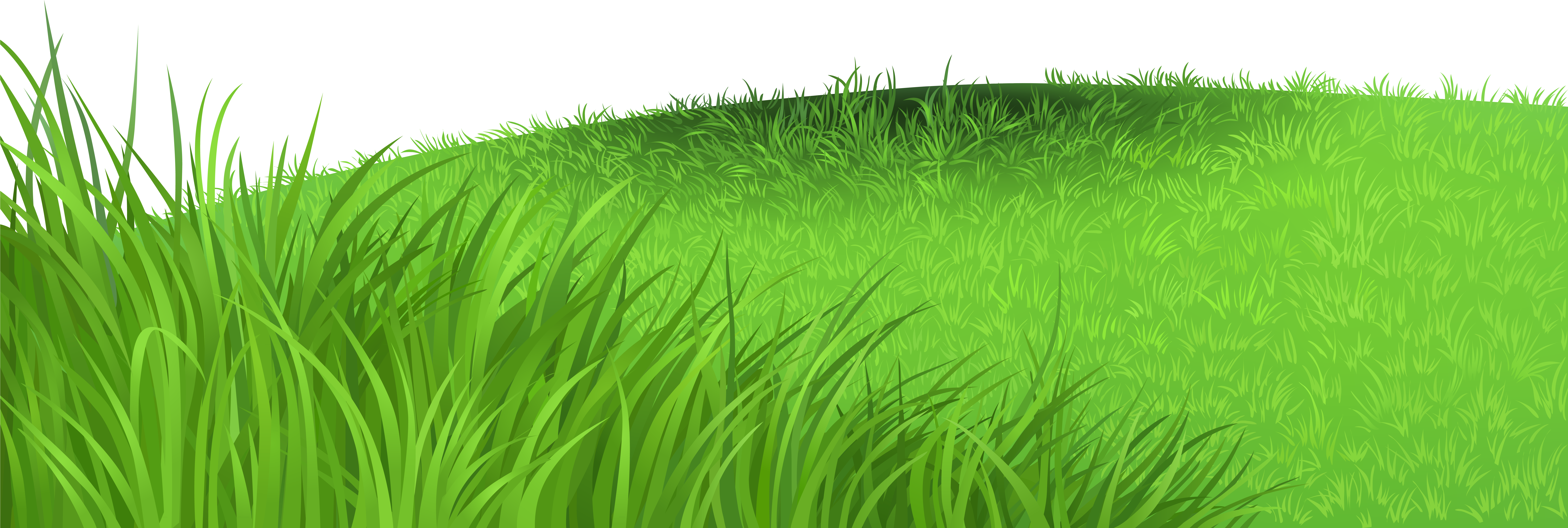 Grass Deco Png Clipart Picture - Clip Art (9720x3636)