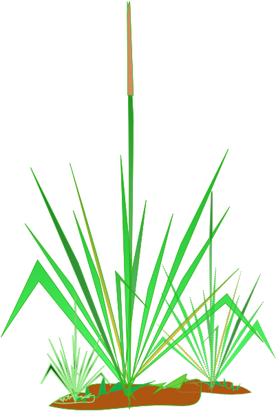 Grass Free To Use Clip Art - Clip Art (455x698)