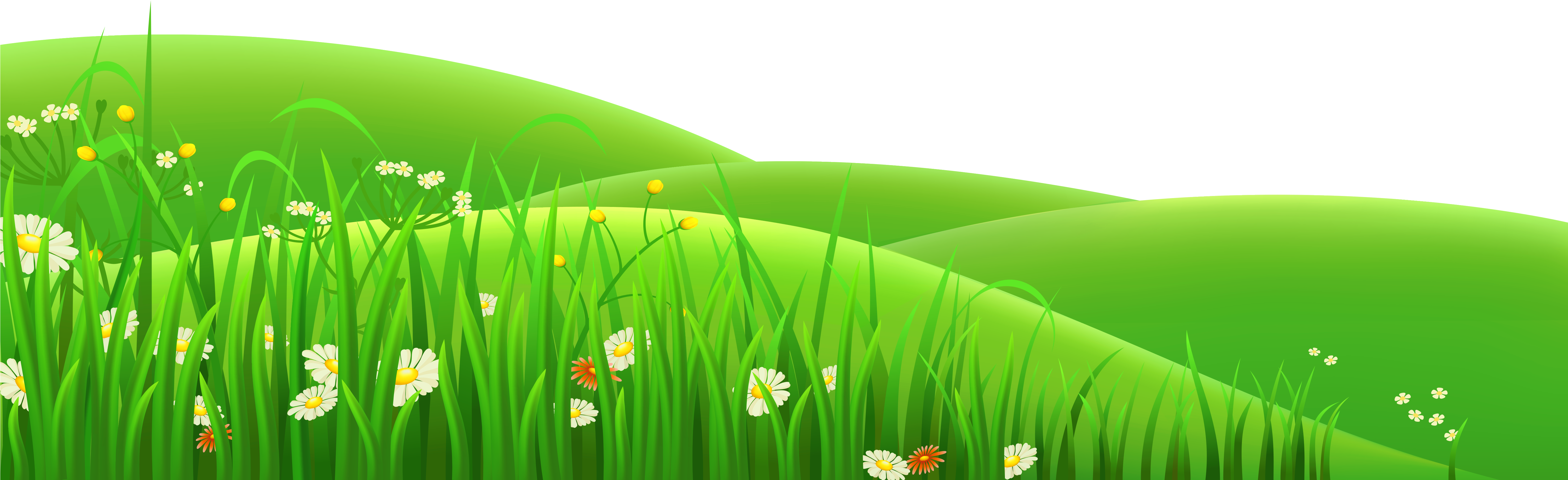 Grass Clip Art Free Clipart Images - Grass And Flower Clipart (6000x1968)