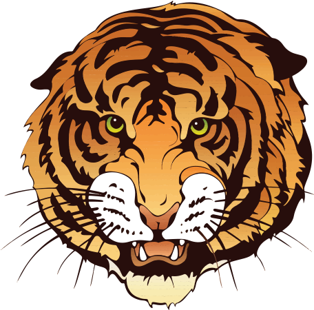 American Tigers - Swanscombe Tigers Logo (750x450)