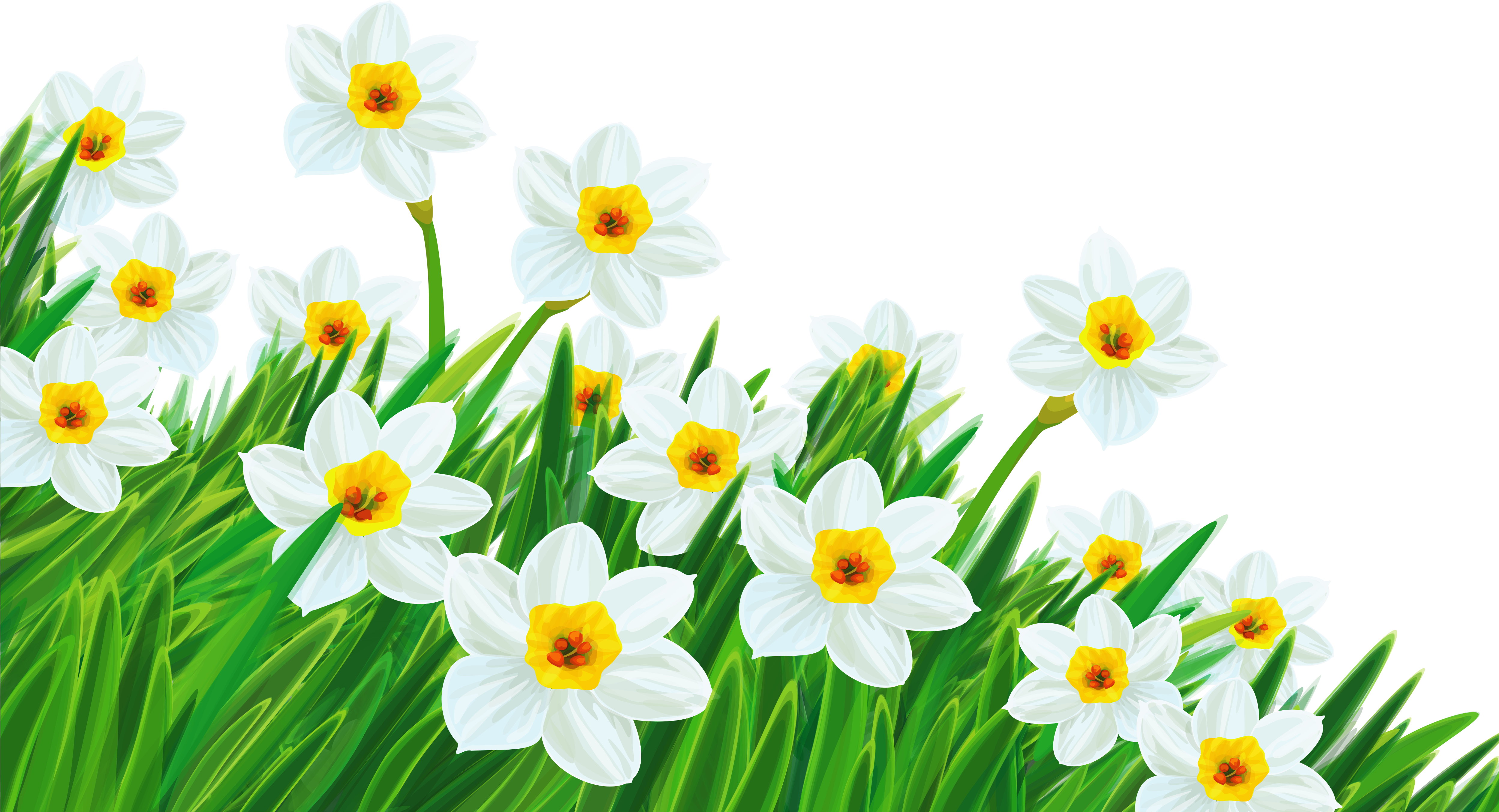 Grass Clipart With No Background - Flowers Clip Art Transparent (5000x2970)