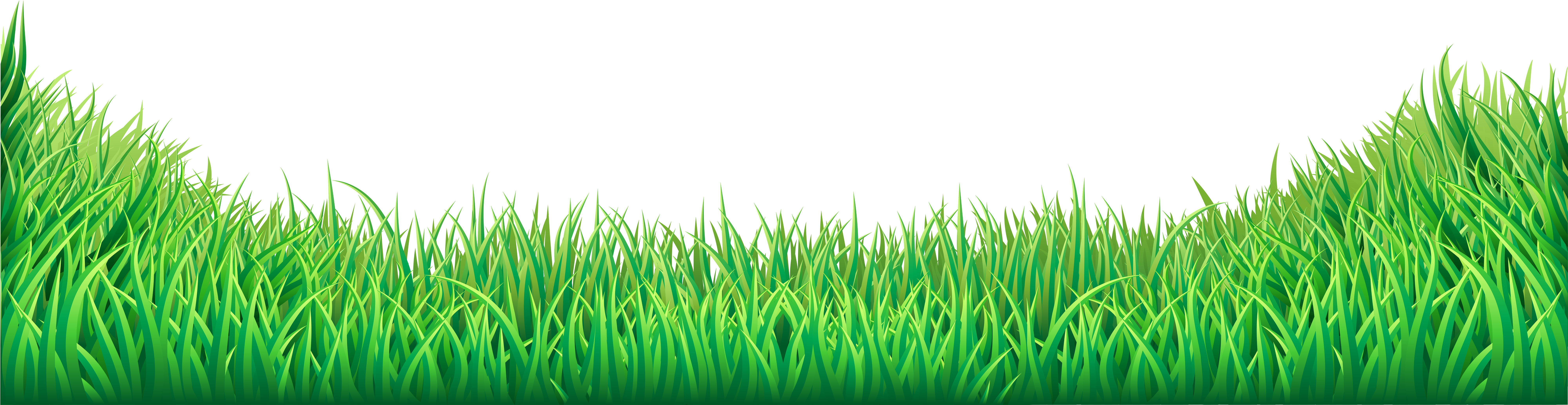 Grass Clipart Png Transparent - Transparent Grass (8000x2218)