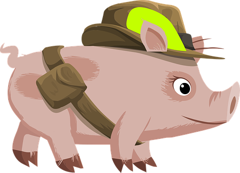 Pig, Pink, Animal, Hat, Belt, Big Eyes - Explorer Pig (471x340)