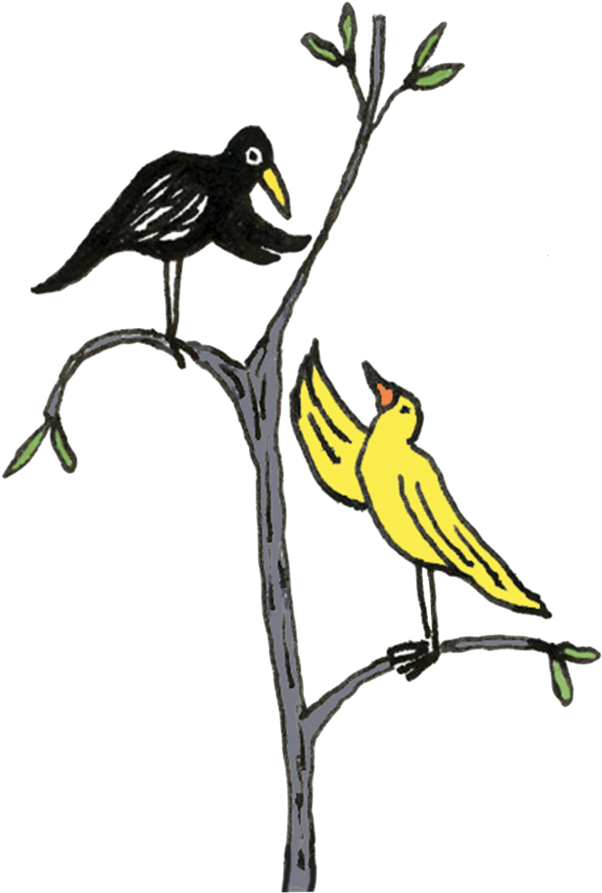 Birds-tree Web - Perching Bird (1000x1000)