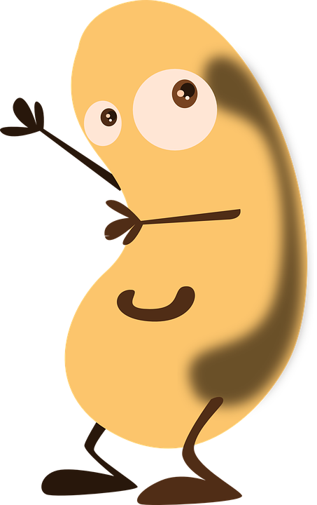 Bean, Potato, Face, Figure, Cartoon, Smile, Happy - Cartoon Kidney Bean (453x720)