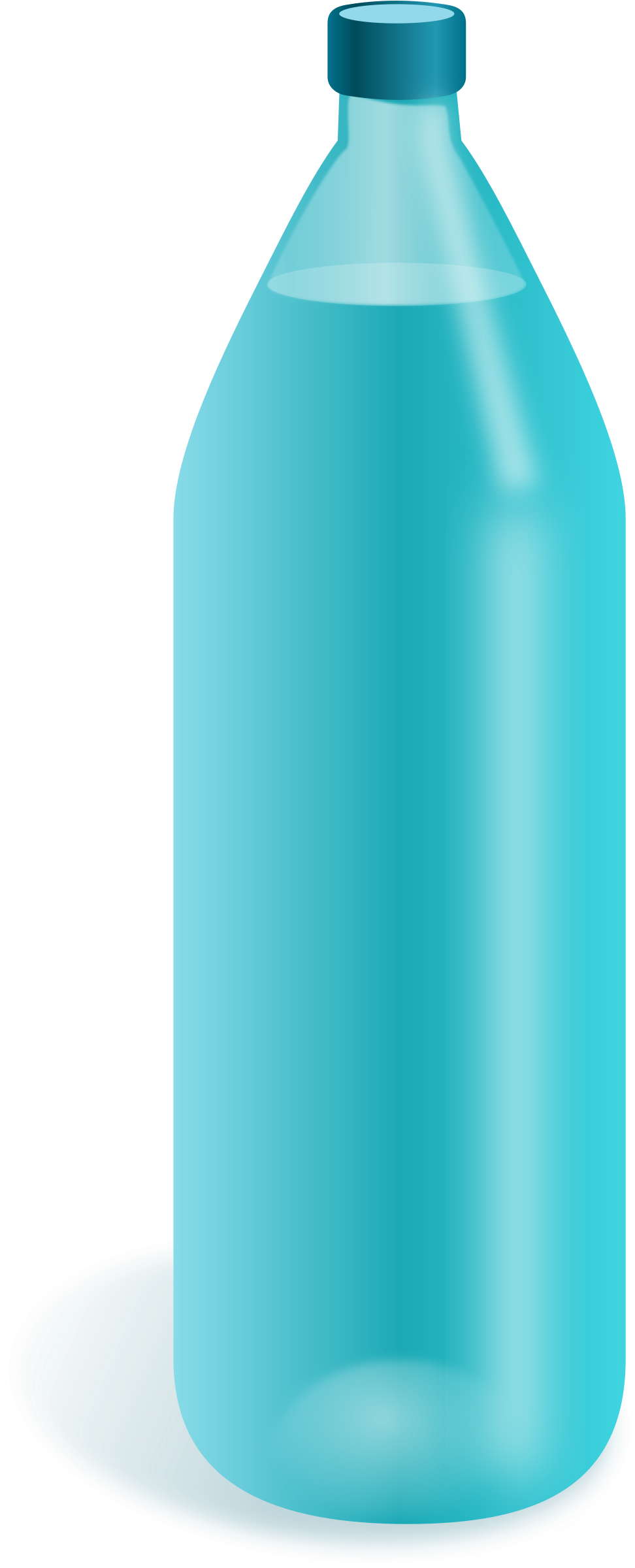 Bottle Clip Art - Transparent Background Water Bottle Png (987x2400)