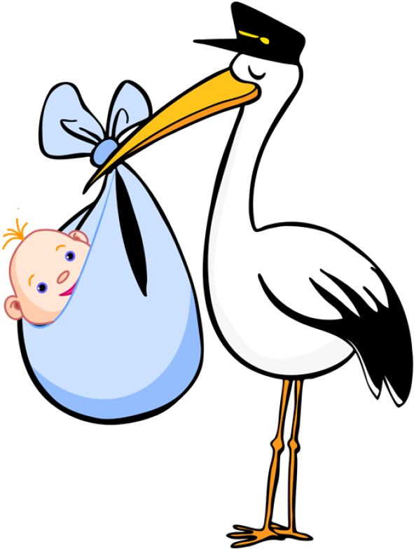 Free Clip Art For Birth Announcements - Stork Clipart Boy (728x932)