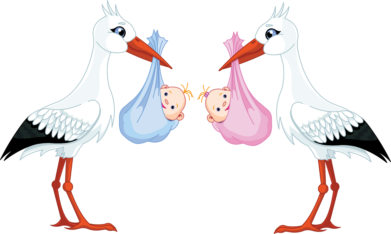 Celebrating 'birth' Days - Stork Baby (1600x957)