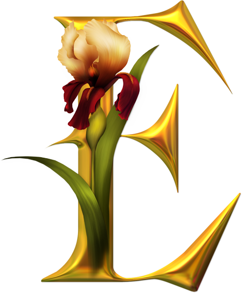 Alfabeto De Orquideas (610x610)