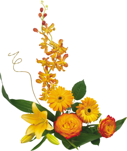 C'est Très Jolie Saison, Riche En Couleurs Mordorées - Jolie Fleur D Anniversaire (422x500)