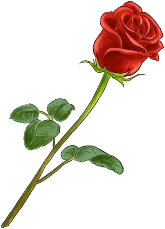 La Fleur Est Parfaite Nice Dessin De Rose En Couleur - Dessin De Rose En Couleur (607x773)