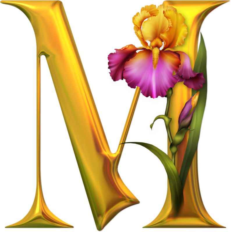 Beautiful Images Of Alphabet M (794x800)