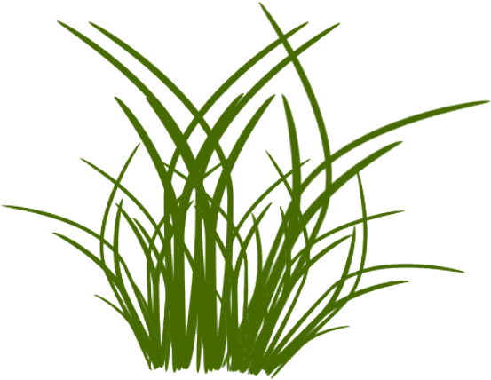 Chaque Brin D’herbe A Sa Part De Rosée. » – Sagesse Chinoise