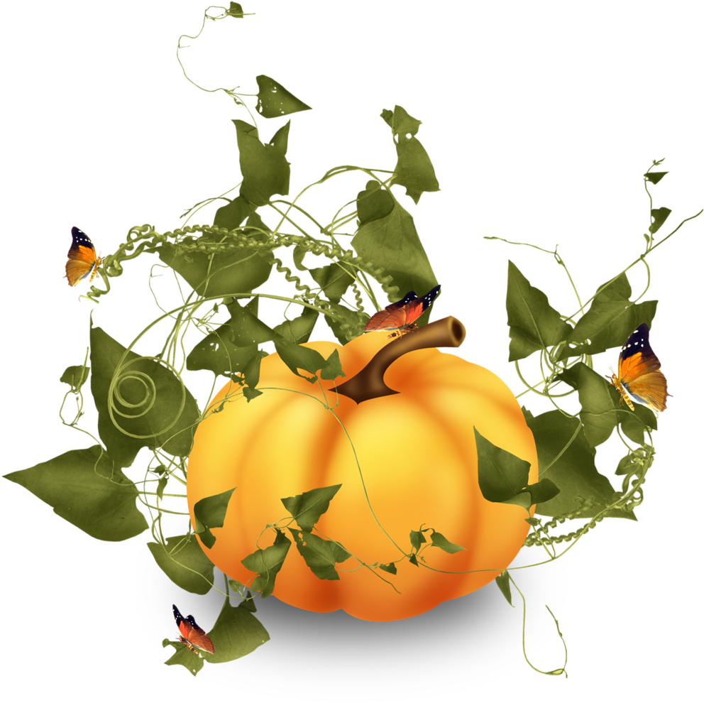 Fruits D'automne Dessin Couleur - Citrouille Dessin Fond Transparent (1005x1024)