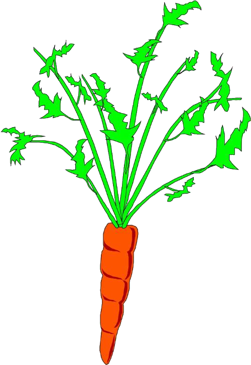 Carrot Animation Clip Art - Baby Carrot (837x1037)