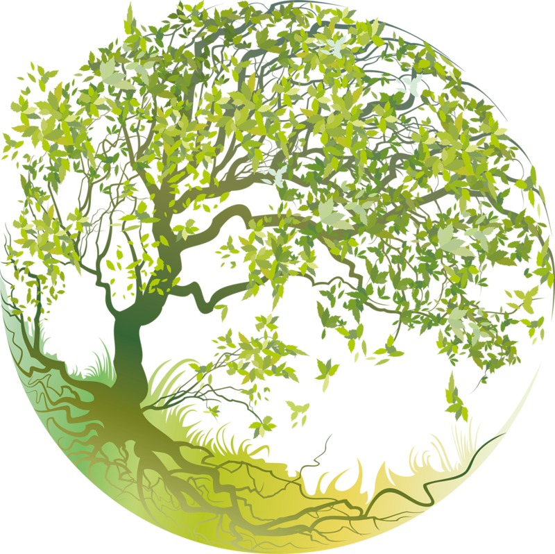 Elagage Arbre - Spring Bliss Wall Clock (800x798)