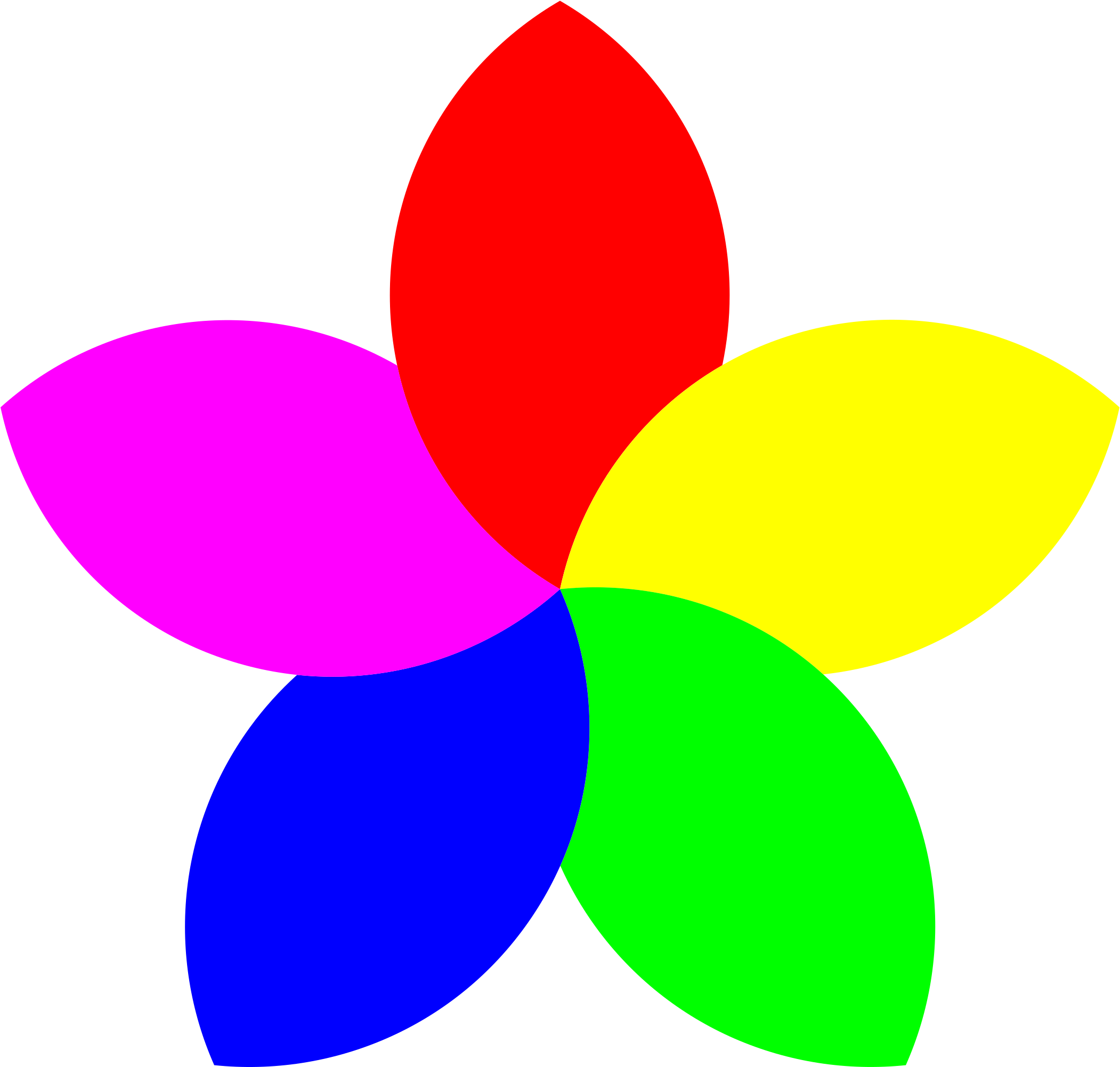 5 Petal Flower - Flower With 5 Petals (2400x2400)