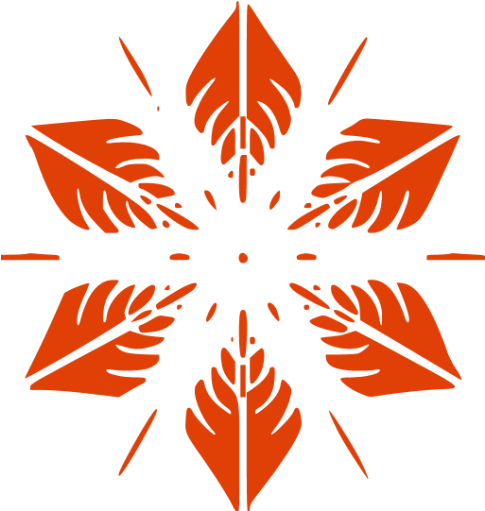Soylent Red Snowflake 5 Icon - Types Of Star Designs (512x512)