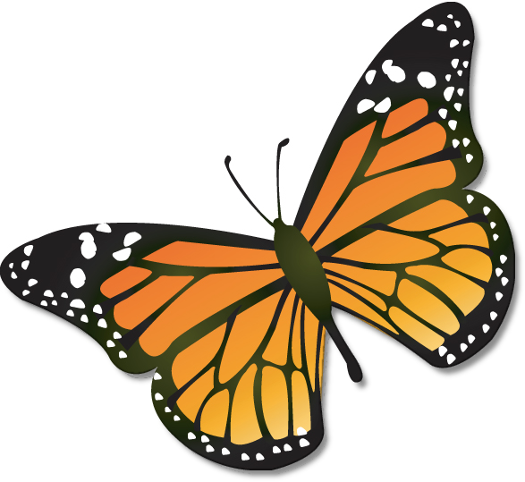 Monarch Butterflies Clipart - Clip Art Monarch Butterfly (587x539)