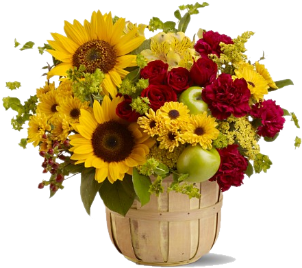 Sunflower Bouquet Png - Sunflower Pot Png (445x417)