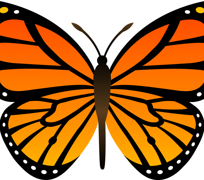 Cartoon Of Butterfly Cartoon Butterfly Clipart Clipartfest - Butterfly Clip Art (678x600)