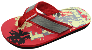 Flip-flops (450x300)