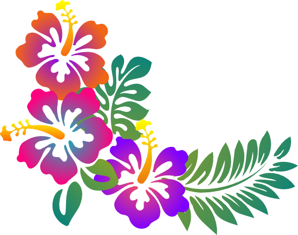 Craft - Hibiscus Flower Stencil (600x473)