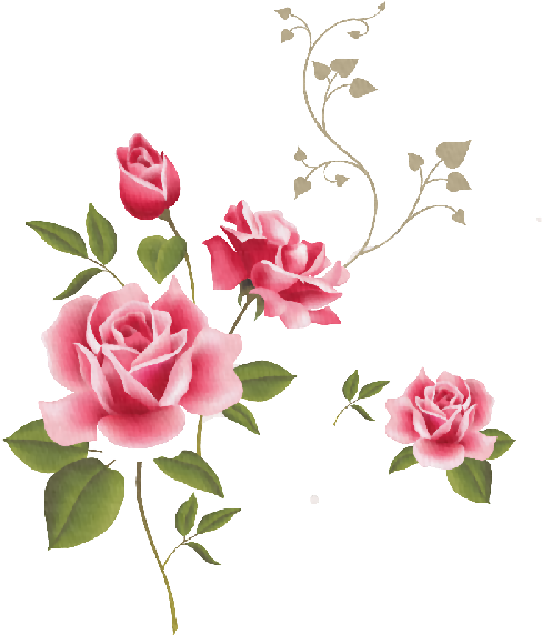 Stencil Rosa - Pink Roses Clip Art (500x571)