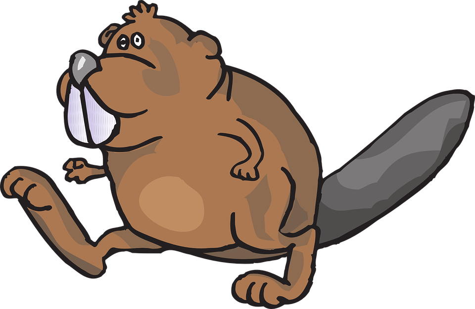 Dribbling Animal Cliparts - Beaver Transparent (960x626)