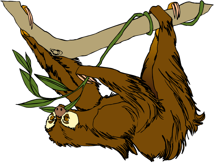 Sloth Clipart - Sloth On Tree Clipart (750x573)