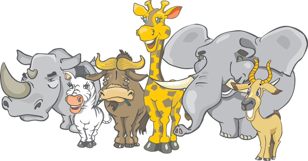 Movements - Animal Madness - Animal Wall Sticker - Jungle Wall Decal (1000x522)