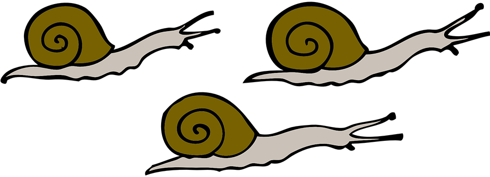 Slug Cliparts 22, Buy Clip Art - Snails Clipart (960x480)