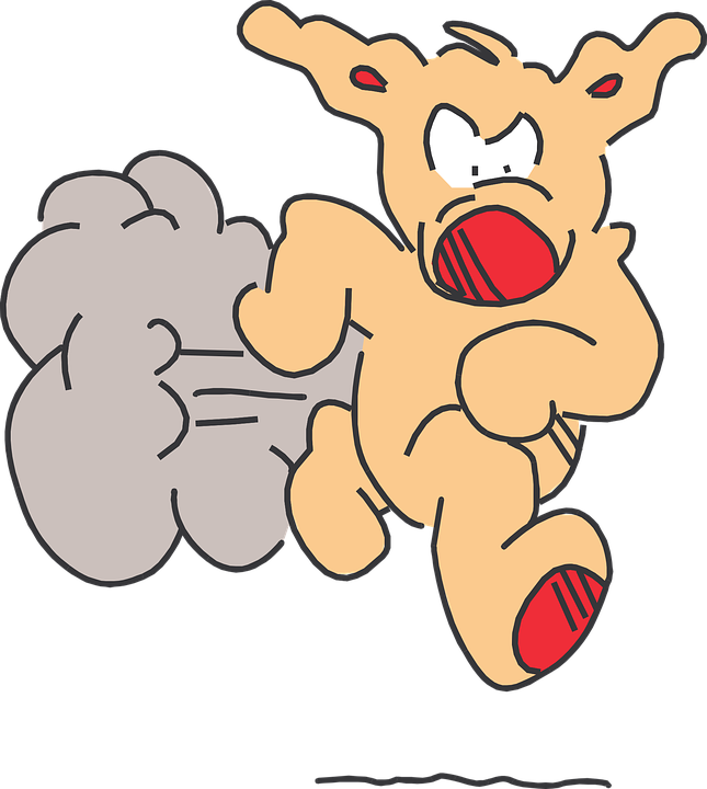 Running, Unknown, Strange, Animal, Fast, Dust - Animal Running Clip Art (645x720)