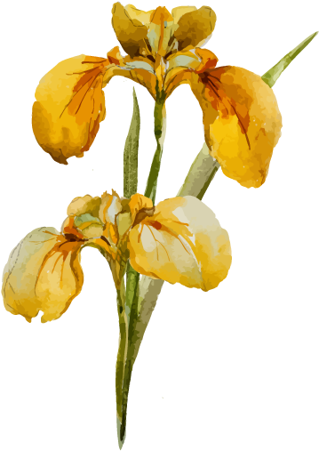 Wild & Natural Bouquets - Wild & Wondrous Flowers (600x600)