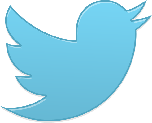 Img A1621499aa1 Bird Twitter New Single - Social Media Icons Single (491x398)