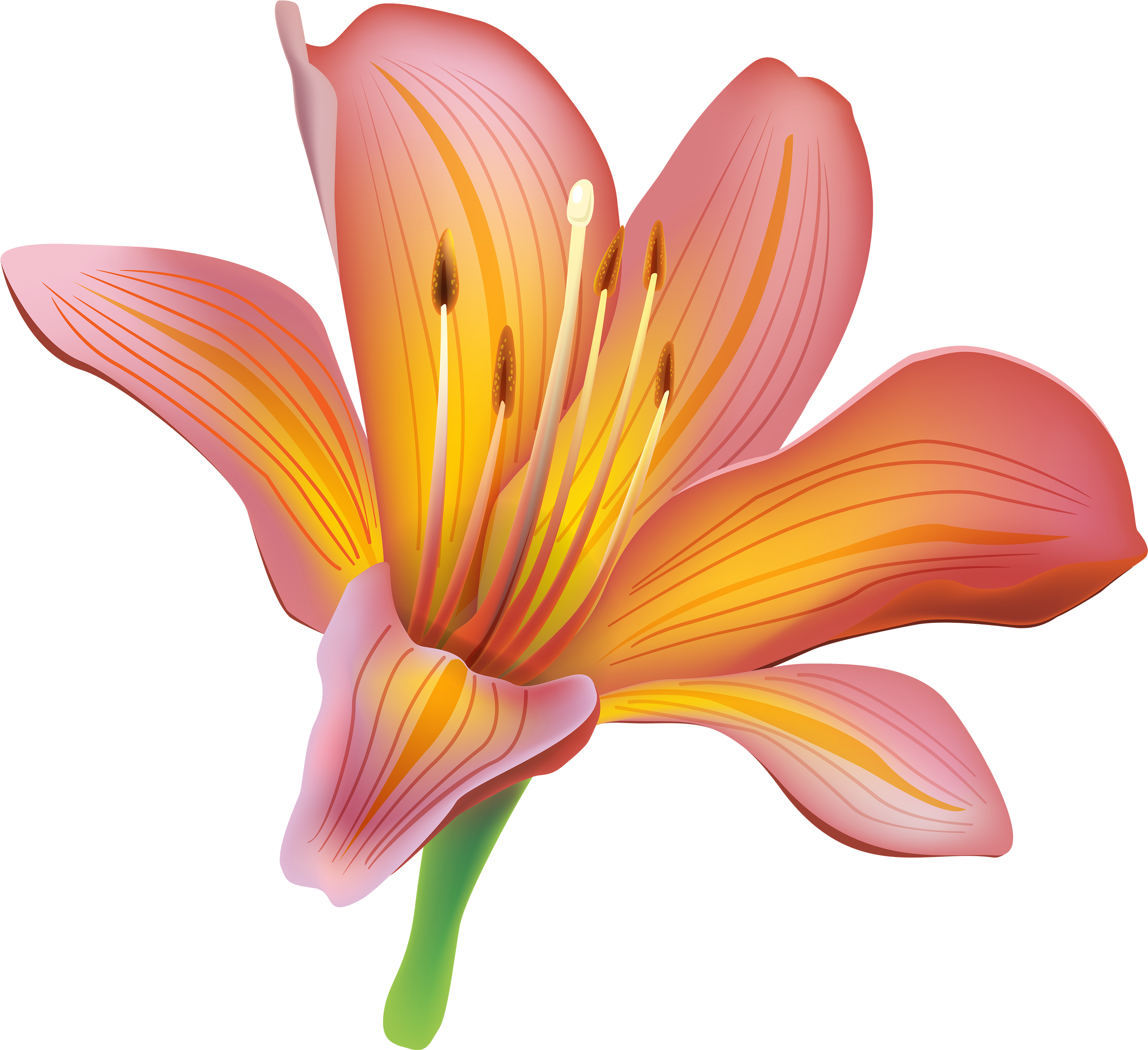 Lily Flower Png Clipart Best Web - Lily Flower Clipart (3000x2744)