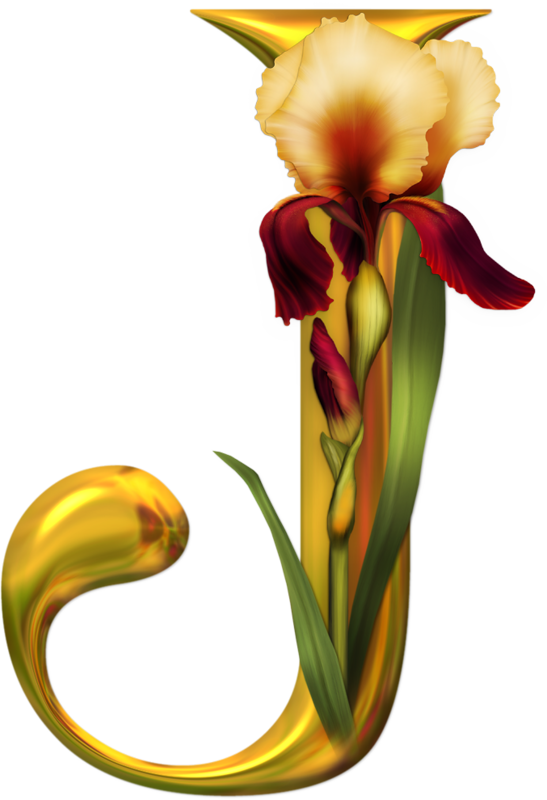 Iris Wilma <i>jones</i> Houck - J Em Png (547x800)