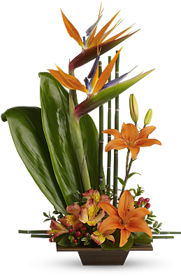 Teleflora's Exotic Grace - Bird Of Paradise Flower (400x400)