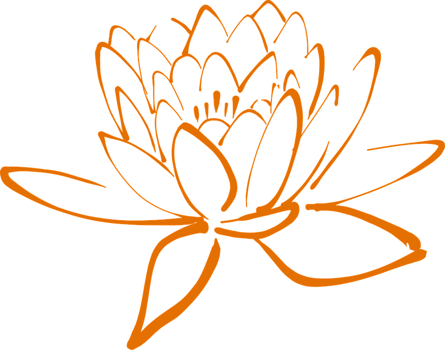 Lotus Cliparts 9, Buy Clip Art - Flor De Lotus Clipart (915x720)